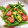 もにゃっこ's cooksnap of when they made お弁当に♪いんげんとウインナー炒め.