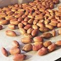 ３５９'s cooksnap of when they made オーブンで煎り落花生.
