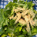 shyoko's cooksnap of when they made 青ネギのナムル　切って混ぜるだけ！.