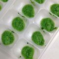 たい⭐️ゆき's cooksnap of when they made ブロッコリー 離乳食 初期.