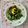 ブランディ's cooksnap of when they made カラフルサラダ.