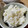 ごはんをたべるよ's cooksnap of when they made 白だし生姜ごはん.