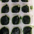 たい⭐️ゆき's cooksnap of when they made 離乳食初期　ブレンダーでほうれん草.