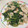 きらり流れ星's cooksnap of when they made 豚ばらとほうれん草の炒め物.