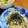 はっぴぃ☆モソモ's cooksnap of when they made もやしのオイマヨ和え.