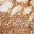 wondappo's cooksnap of when they made 麻婆カブ.