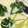 monjimari's cooksnap of when they made 白だしで！簡単茶碗蒸し.