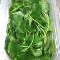 あおちゃん's cooksnap of when they made みつばのシャキシャキ保存方法.