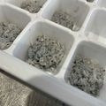 れでよと's cooksnap of when they made しらすの離乳食☆初期・中期.