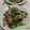 赤い電話's cooksnap of when they made 豚肉とにんにくの芽炒め.