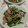 赤い電話's cooksnap of when they made 豚肉とにんにくの芽炒め.