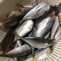 花柄エプロン's cooksnap of when they made 指だけで簡単☆豆アジの下処理の仕方.