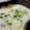 ゆせりた18's cooksnap of when they made 昔ながらの七草粥.