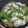 マダムカフェ♡'s cooksnap of when they made 牡蠣のスタミナ焼き.