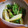 ｅｋ４'s cooksnap of when they made セロリの塩炒め.