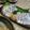 クックBHKH9I☆'s cooksnap of when they made 簡単酢じめ！太刀魚の酢洗い.