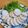 AKI∵'s cooksnap of when they made しっとり鶏ハム♪.