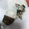 ミレーちゃん's cooksnap of when they made 簡単♪面白い♪里芋のゆで方・むき方.