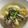 クックGXEU5S☆'s cooksnap of when they made ほっこり！鶏肉とじゃがいもの塩煮.