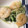 ベティ３'s cooksnap of when they made 水菜とエビの白だし炒め.