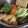 竜くんmama's cooksnap of when they made サッポロ一番 コク旨韓国風プデチゲなべ.