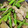 クックY08S17☆'s cooksnap of when they made アスパラとまいたけのバターしょうゆ炒め.