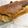 yeちゃん's cooksnap of when they made 卵白消費☆ふわふわシフォンパウンドケーキ.