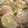 ひぃちゃんひー's cooksnap of when they made かぶのとろとろ鶏そぼろ餡掛け.