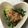 ☆ayami☆26's cooksnap of when they made ほうれん草としらすのおひたし.