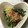 ☆ayami☆26's cooksnap of when they made ほうれん草としらすのおひたし.