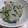 ritany's cooksnap of when they made 里芋の炒め物.