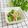 ゆづキッチン's cooksnap of when they made ブロッコリーとカニカマの胡麻和え.