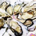きはるの's cooksnap of when they made 殻付き牡蠣のフライパン蒸し☆.