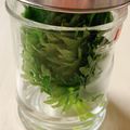 のんべぇヒロ's cooksnap of when they made 長持ち！～大葉の保存方法～.
