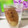フリージア♬'s cooksnap of when they made これだけ☆彡長持ちしょうがの保存方法.