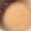 ベティ３'s cooksnap of when they made 牛乳感たっぷり☆濃厚ロイヤルミルクティー.