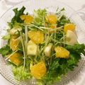 ちゃまたまご's cooksnap of when they made はっさくとりんごの美肌サラダ♡.