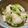 小木菟's cooksnap of when they made 簡単に和食屋さんの白菜のお漬物.