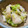 小木菟's cooksnap of when they made 簡単に和食屋さんの白菜のお漬物.