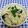 ととろ＆めい's cooksnap of when they made ふっくら！牡蠣ご飯！.