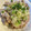 yu228's cooksnap of when they made 我が家の黄金比☆焼肉☆ネギ塩ダレ.