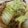 半熟王子's cooksnap of when they made 牛肉と白菜の甘辛炒め煮.