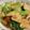 pakupakun's cooksnap of when they made イカとチンゲン菜の塩あんかけ炒め♪.