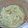チビ太ﾁｬﾝ's cooksnap of when they made 卵としらすの五倍粥♥炊飯器で離乳食☆.
