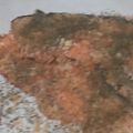 ヨシヨッシー's cooksnap of when they made m秋鮭(生鮭)のガーリックマヨパン粉焼き.