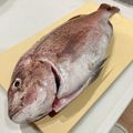 クック1028's cooksnap of when they made 【真鯛のお刺身】.