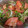 kumasan♪'s cooksnap of when they made 簡単！トマトとかいわれのさっぱりサラダ♪.