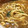 クック☆やーっ！'s cooksnap of when they made 鍋の残りをカレーうどんにリメイク.