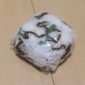 きらり流れ星's cooksnap of when they made 塩昆布とおかかのおにぎり♡.