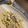 emola's cooksnap of when they made 秋といえば！色々キノコのクリームパスタ.